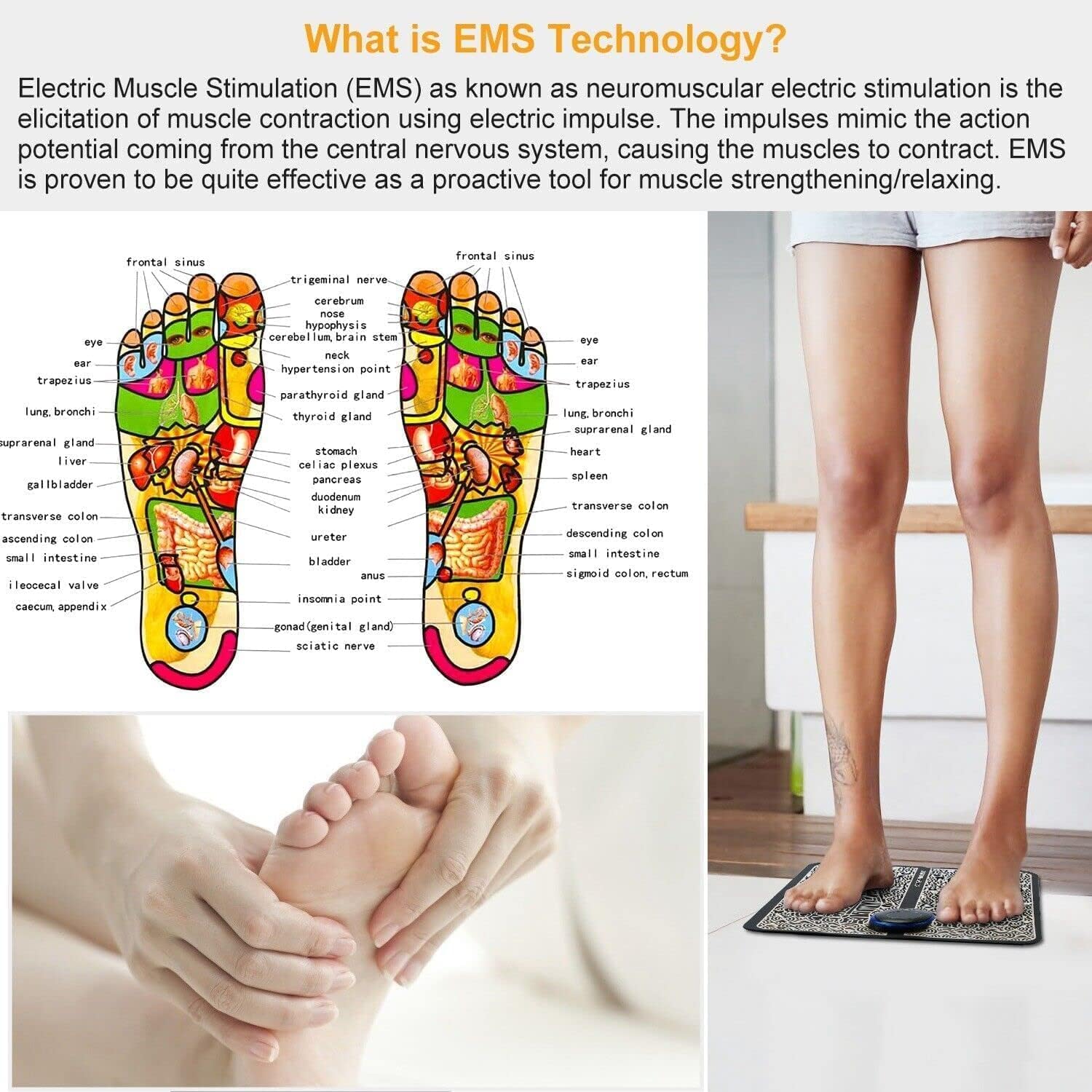 Electric EMS Massage Mat – 8 Mode & 16 Level Vibration Wireless Folding Muscle Stimulator for Feet, Legs & Full Body Pain Relief